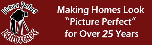 Picture Perfect Landscape and Christmas Decor